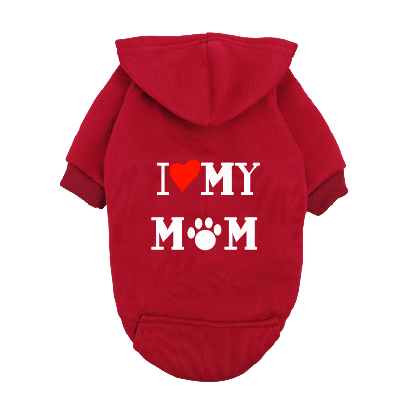 Plant Parent Hoodie - Bluza z kapturem I Love My