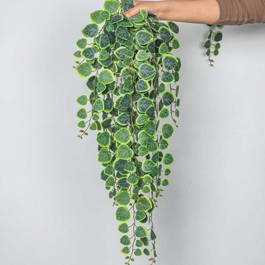 String Of Pearls Plant - 60-80cm Sztuczne wiszące winorośle Tropikalne rośliny