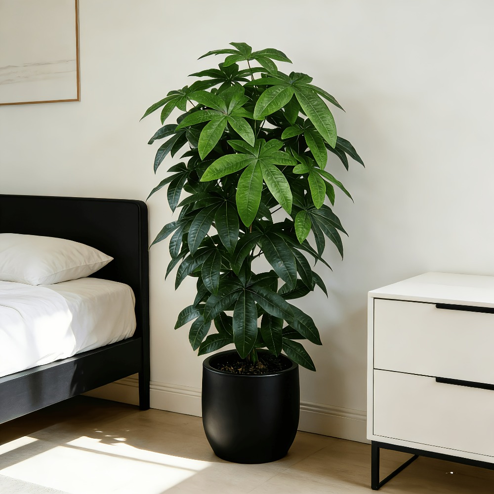 Fiddle Leaf Fig - Sztuczna drzewka szczęścia Pachira Aquatica z