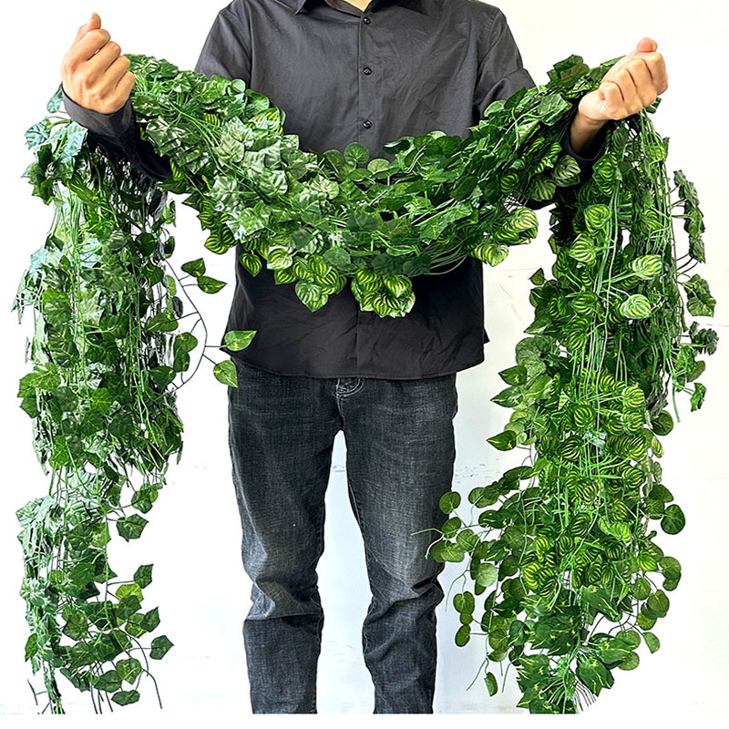 2.1M Zielony liść bluszczu Wis – String Of Pearls Plant recenzja i cena
