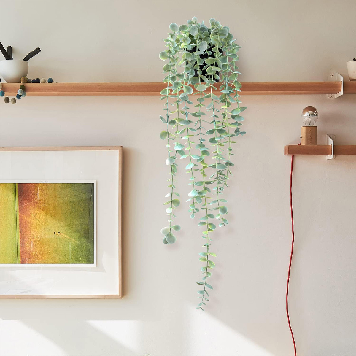Sztuczna bluszcz, wisząca euka – String Of Pearls Plant recenzja i cena