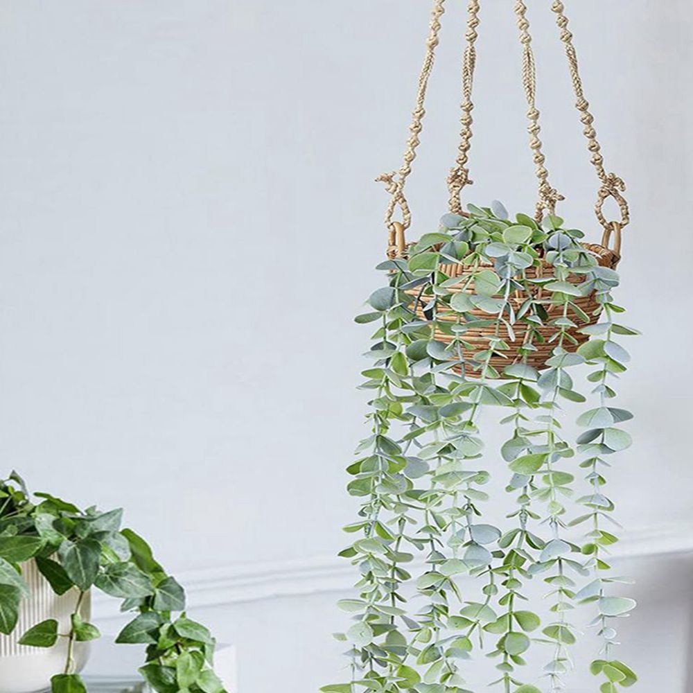 Sztuczna bluszcz, wisząca euka – String Of Pearls Plant recenzja i cena
