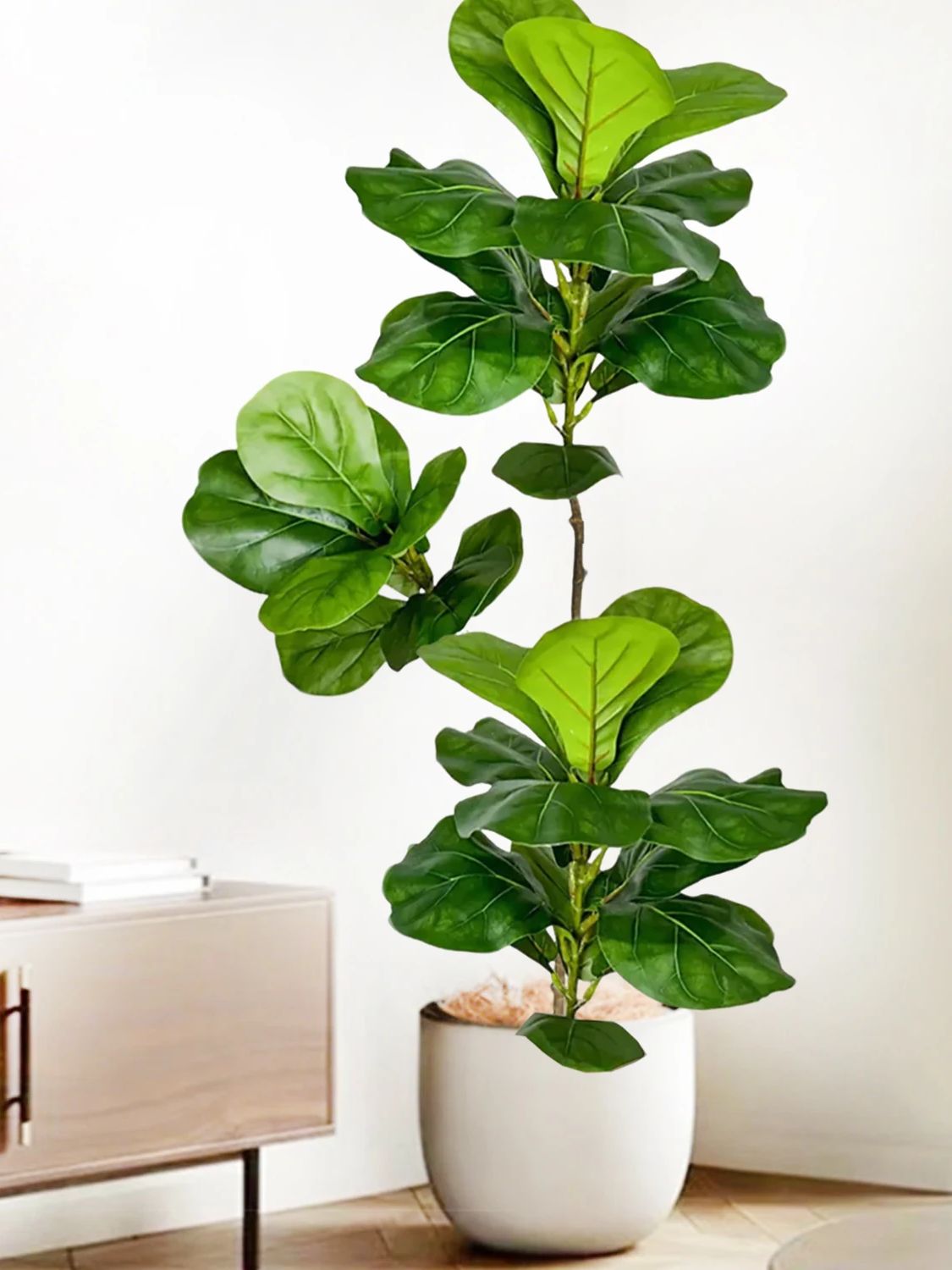 Sztuczny figowiec lirolistny o – Fiddle Leaf Fig recenzja i cena