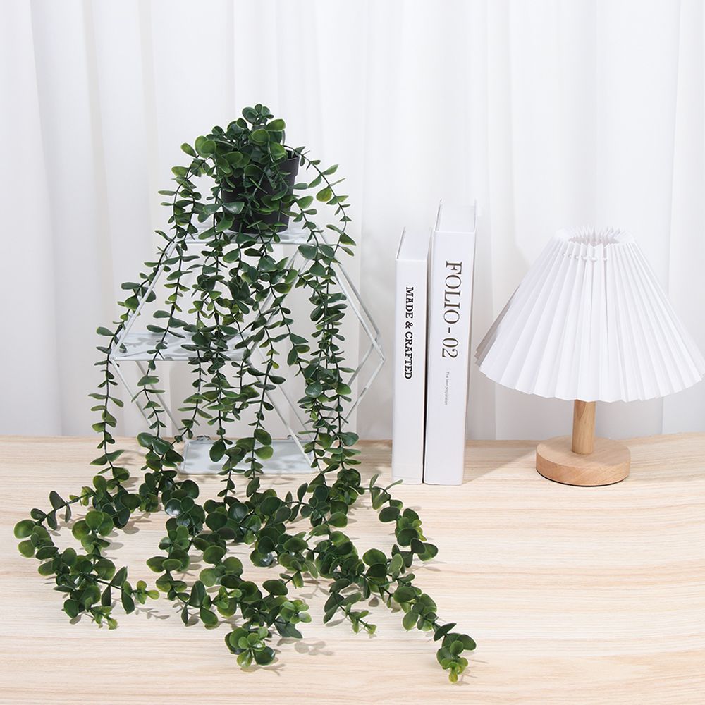 Sztuczne rośliny wiszące z don – String Of Pearls Plant recenzja i cena