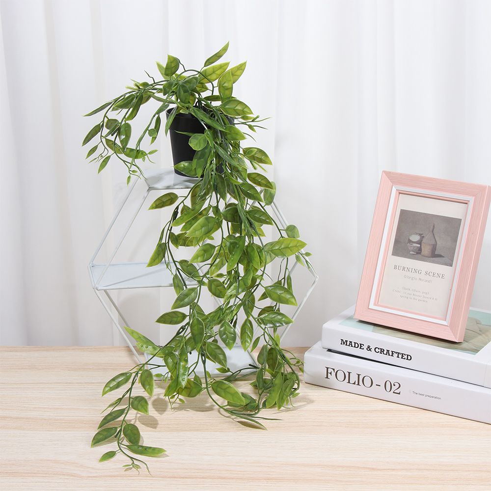 Sztuczne rośliny wiszące z don – String Of Pearls Plant recenzja i cena