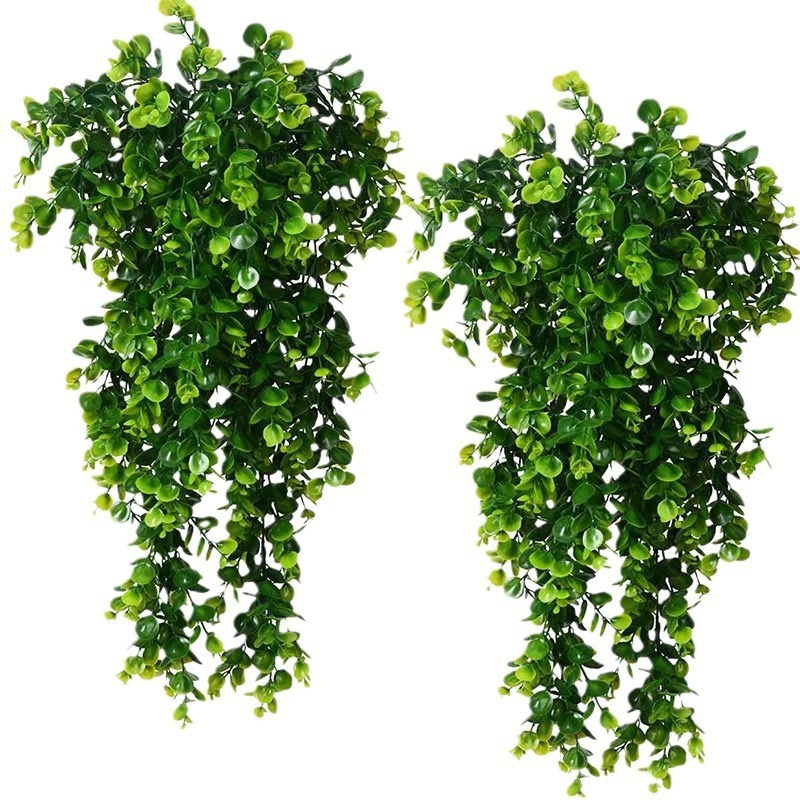1 szt. Sztuczny 5-kątny rattan – String Of Pearls Plant recenzja i cena