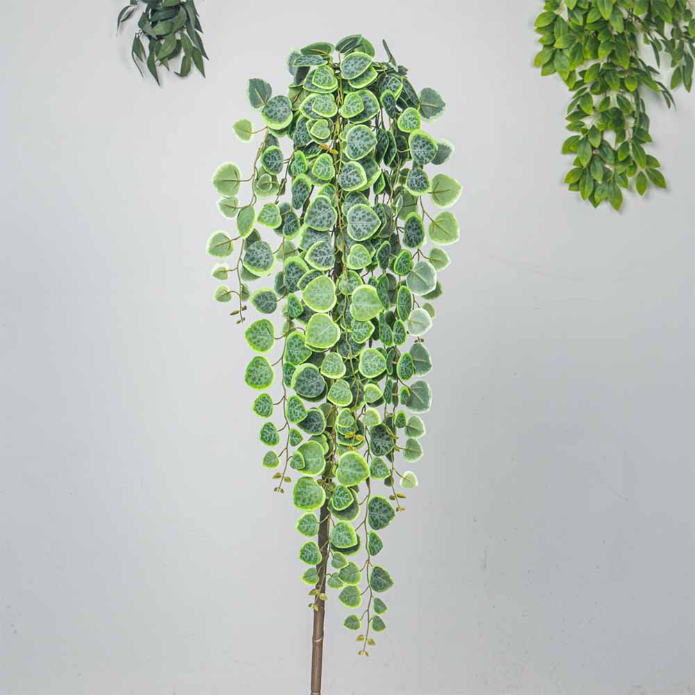 60-80cm Sztuczne wiszące winor – String Of Pearls Plant recenzja i cena