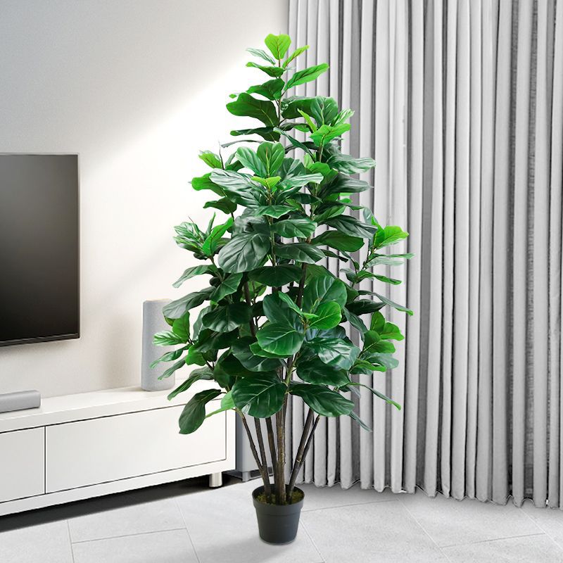 Sztuczna Ficus Lyrata, Duża Ro – Fiddle Leaf Fig recenzja i cena