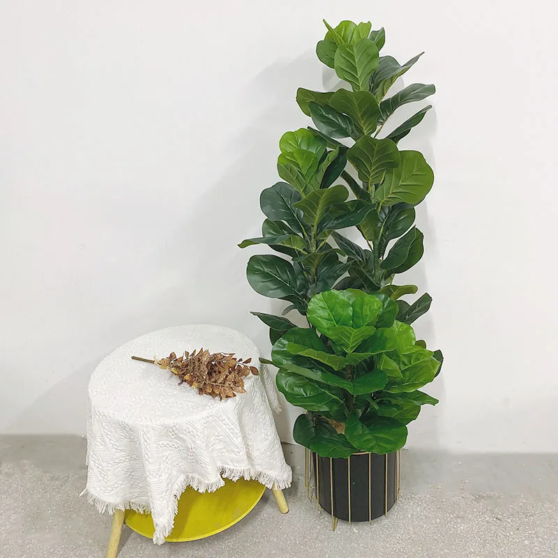 Sztuczna Ficus Lyrata, Duża Ro – Fiddle Leaf Fig recenzja i cena