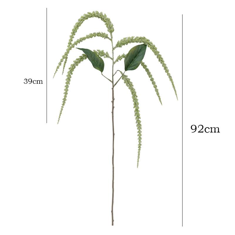 Sztuczne sznury z pereł o dług – String Of Pearls Plant recenzja i cena