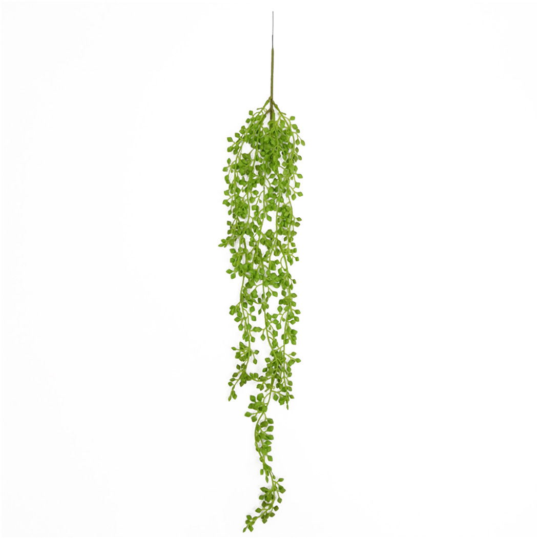 Sztuczna roślina winorośli wis – String Of Pearls Plant recenzja i cena