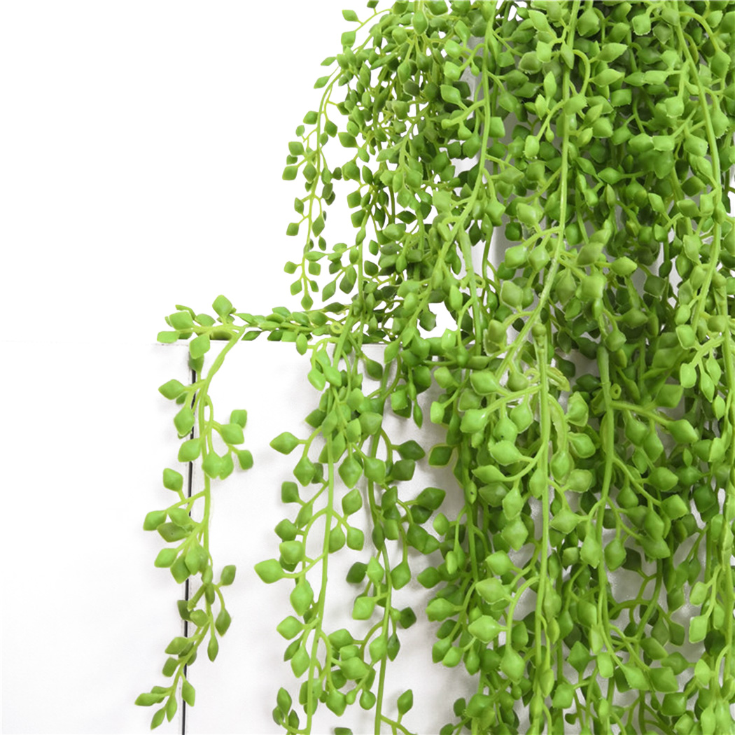 Sztuczna roślina winorośli wis – String Of Pearls Plant recenzja i cena