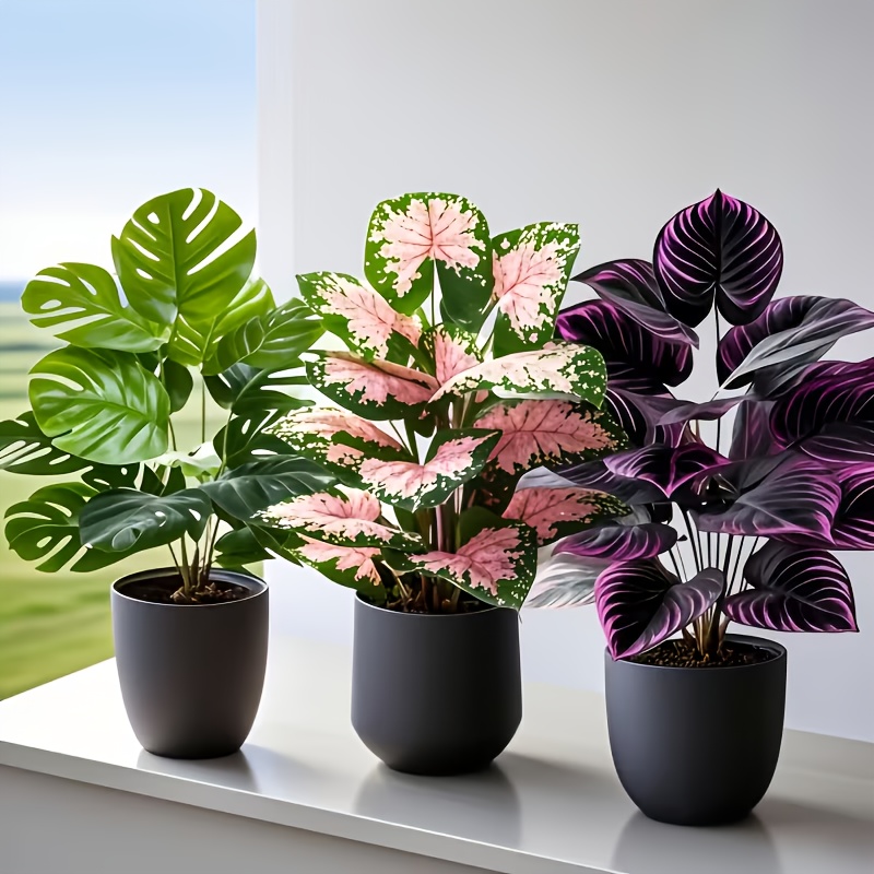 Zestaw 3 szt. mieszanych sztuc – Fiddle Leaf Fig recenzja i cena