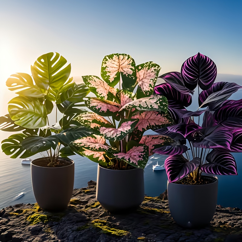 Zestaw 3 szt. mieszanych sztuc – Fiddle Leaf Fig recenzja i cena